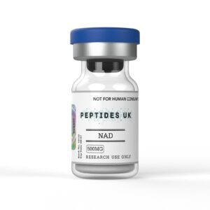 NAD+ — Research Compound
