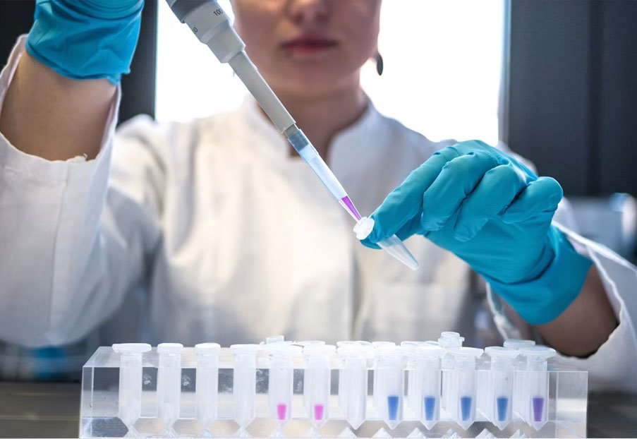 Scientist pipetting a sample into a petri dish in a laboratory